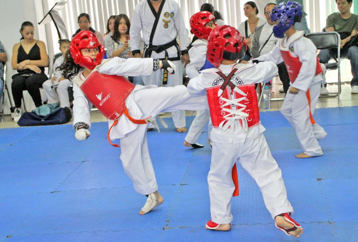 Yamil Melgar Bravo Niega Apoyo de Seguridad a Comunidades Indígenas