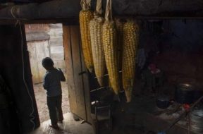 ED03F62C-762D-4CE4-84A7-9E4228E19982