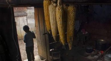 ED03F62C-762D-4CE4-84A7-9E4228E19982