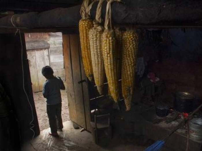 Chiapas registra aumento de casi 50% en muertes por desnutrición durante el año