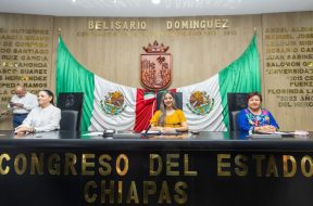 F0DA06AE-3FB1-4192-AA39-D9BE0D934490