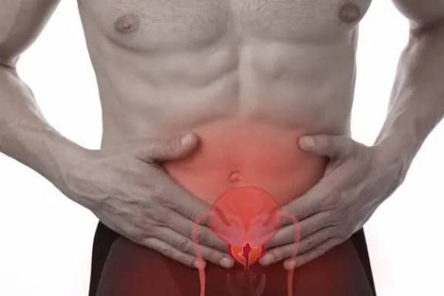 La nuez de la vejez / Al Sur con Montalvo