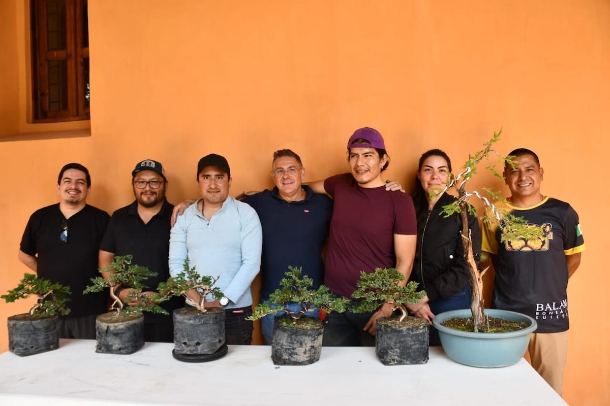 La presencia de la cultura del bonsái en Chiapas