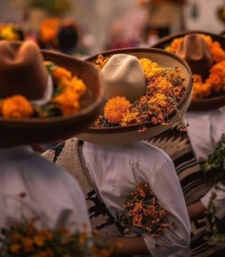 Algo sobre la muerte del Mayor Sabines