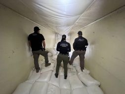 0A511E6F-AAC9-421C-8F6A-D1E564D87C2E