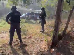 0A78B2F4-0D4F-4D25-878E-E2CEF1605FB0