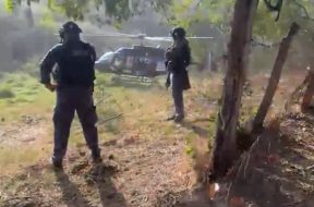 0A78B2F4-0D4F-4D25-878E-E2CEF1605FB0