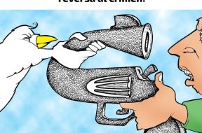 146B84C8-60B7-4A7A-9F6B-2164A86D9762