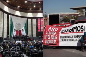 244A24D1-53C7-4E1A-BD19-B9168DAECF90