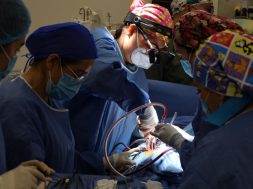 2D3C914F-723F-4A7F-BE7B-59FA09B04E0A