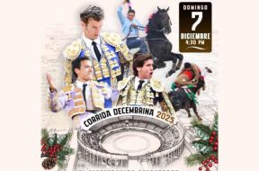 5184E329-7C11-49E0-BD7F-0454585C8334