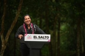 84A82C2C-F75E-402E-85C6-02E1FE12F1D1