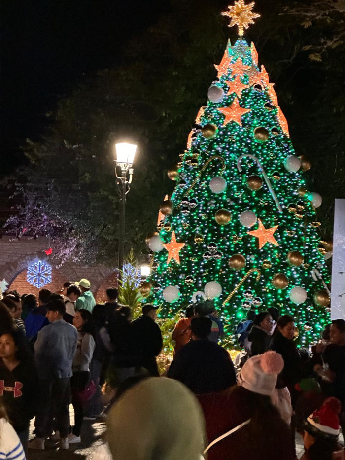 Tradición y cultura decembrina / Al Sur con Montalvo