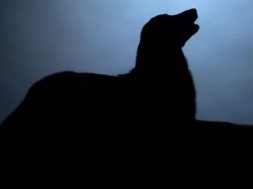 A3506FE5-4A09-468D-99BE-A4A1E43EB8D3