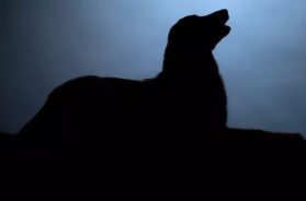 A3506FE5-4A09-468D-99BE-A4A1E43EB8D3