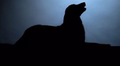 A3506FE5-4A09-468D-99BE-A4A1E43EB8D3