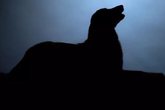 A3506FE5-4A09-468D-99BE-A4A1E43EB8D3