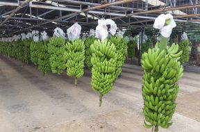 D5636F14-70D8-4C93-A3F8-B35624D19E9D