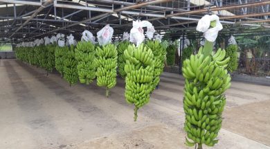 D5636F14-70D8-4C93-A3F8-B35624D19E9D