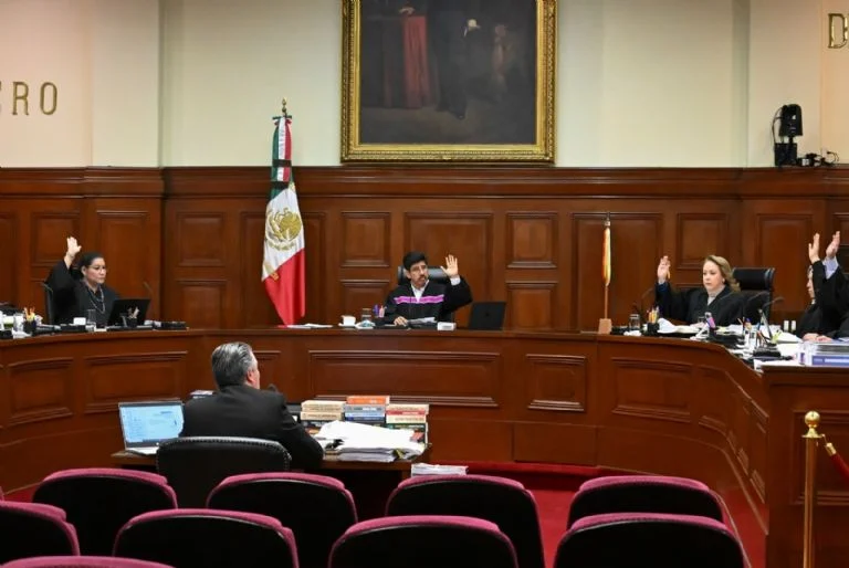 El peligro no viene: ya está adentro / Perro negro y callejero