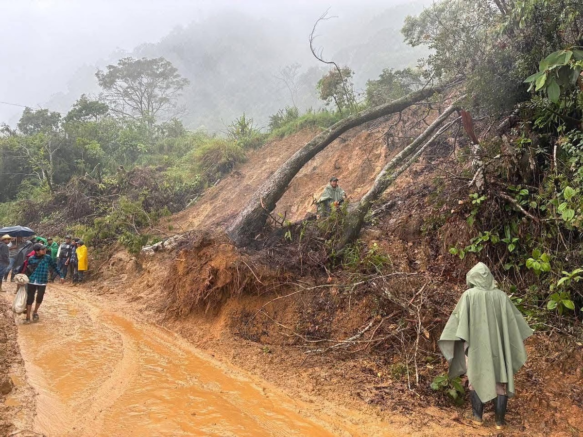 Severas afectaciones en el norte de Chiapas por Frente Frío 19