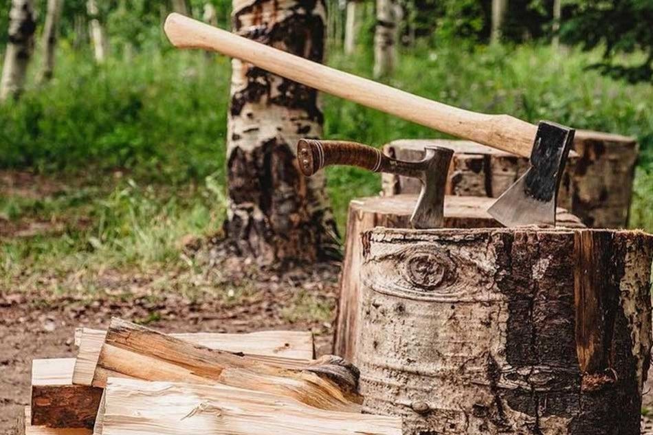 Escuché una historia / Odiseas Posmodernas