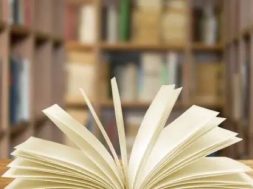 029B6FD6-D8FB-48F6-871F-B2DA3B2139A0