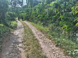 0CC50CED-F4A1-4567-B312-14E98D2BD48E