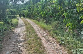 0CC50CED-F4A1-4567-B312-14E98D2BD48E