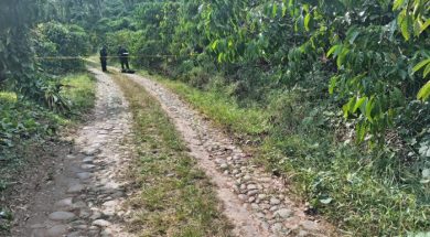 0CC50CED-F4A1-4567-B312-14E98D2BD48E