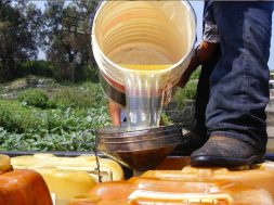 0FE50BC2-3422-4095-887E-99D141121EDB