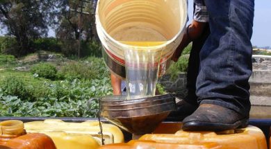 0FE50BC2-3422-4095-887E-99D141121EDB