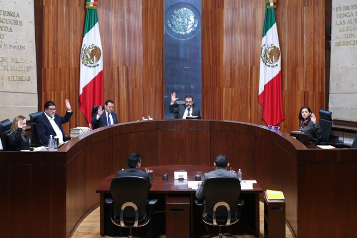 Militancia de Morena puede solicitar la renovación de la presidencia de su Instituto Nacional de Formación Política: TEPJF