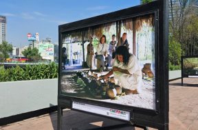 325F863A-C78B-442F-BAC6-12CD48D5292A