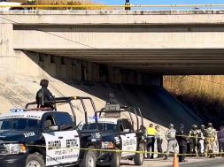 38195CC9-7989-43D3-8E39-570D7CF9C83A