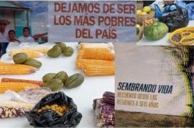 55A3AF81-D94D-4817-BD67-E9B5A9745E71