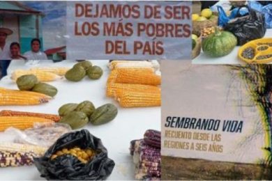 55A3AF81-D94D-4817-BD67-E9B5A9745E71