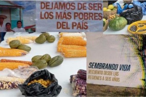 55A3AF81-D94D-4817-BD67-E9B5A9745E71