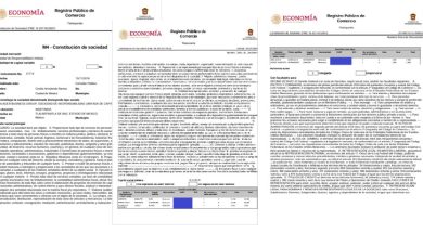 6F7A3C13-2405-4F73-9EA7-6C168B3164DB