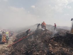 8F8029C1-38FC-446E-B604-0074C035DC7C