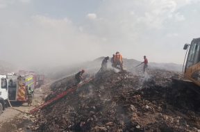 8F8029C1-38FC-446E-B604-0074C035DC7C