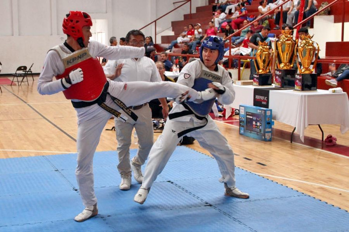 Rotundo éxito en la 2ª edición del Campamento y Torneo INDEPROF “El Volcán 2026” de Tae Kwon Do
