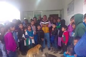 C3CE9665-F5A8-4B7A-9339-9812E58BBD0C