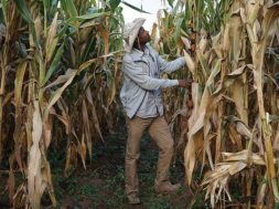 C6E42A59-01D1-4D75-910B-511A65904CAC