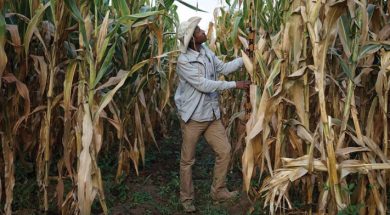 C6E42A59-01D1-4D75-910B-511A65904CAC