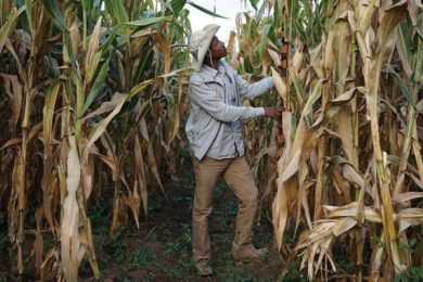 C6E42A59-01D1-4D75-910B-511A65904CAC