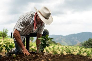 D67A0E95-278F-4C8A-8151-FF9BAD96329C