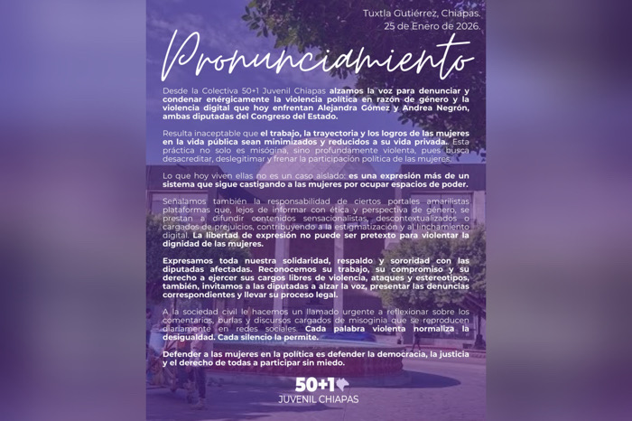 Colectiva 50+1 Juvenil denuncia violencia política y digital contra diputadas locales