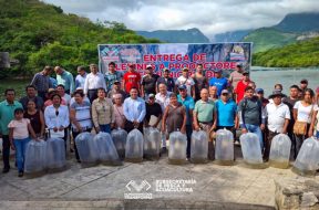 DB602696-2FFA-41B2-A091-2CC95190C5E4