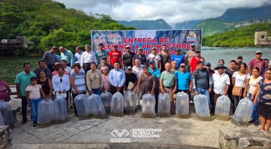 DB602696-2FFA-41B2-A091-2CC95190C5E4